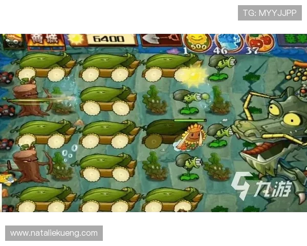 如何在九游j9官网上注册账号及享受优惠