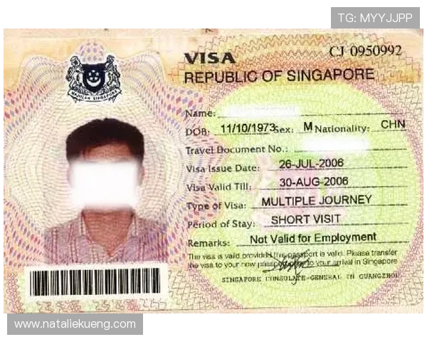 币游国际ag会员登录遇到问题怎么办？详细解决方案帮助用户快速恢复正常使用